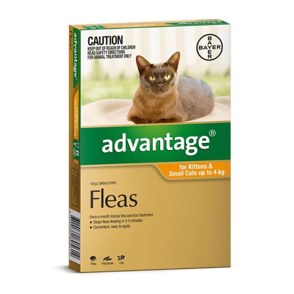 Advantage Flea Treatment for Cats 0 4kg Orange 1 Pack d50a9a81 d9cd 431a a2e5 ec902a8e7ba3 1400x 1