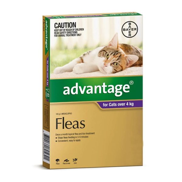 Advantage Flea Treatment for Cats 4kg Purple 4 Pack 68f1ac27 955d 4330 bf8f