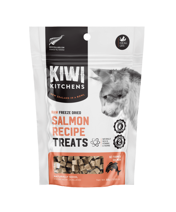 KK PS Cat Treats Bag Salmon Recipe Front HR