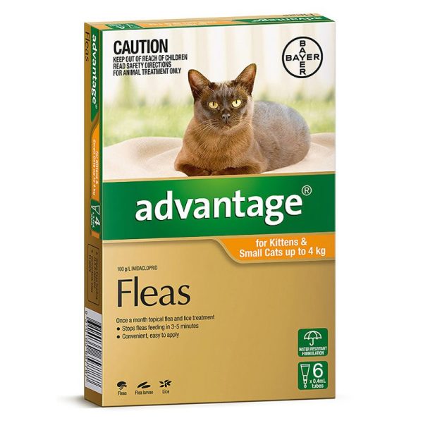 advantage small cats kittens 0 4kg 6 pack 1